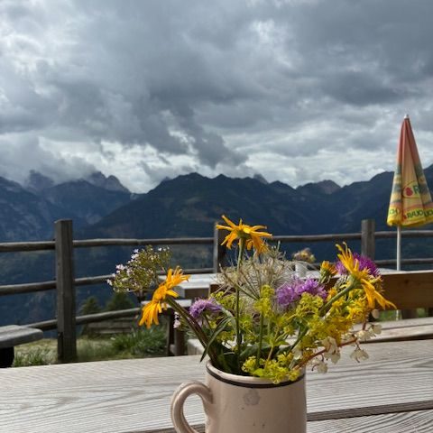 Coaching in Bewegung – Katrin Kranz